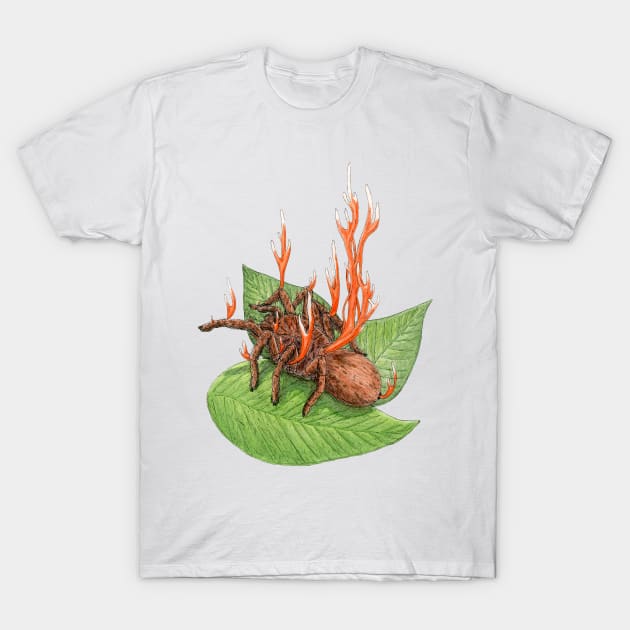 Cordyceps Tarantula (Cordyceps caloceroides) T-Shirt by paintedpansy